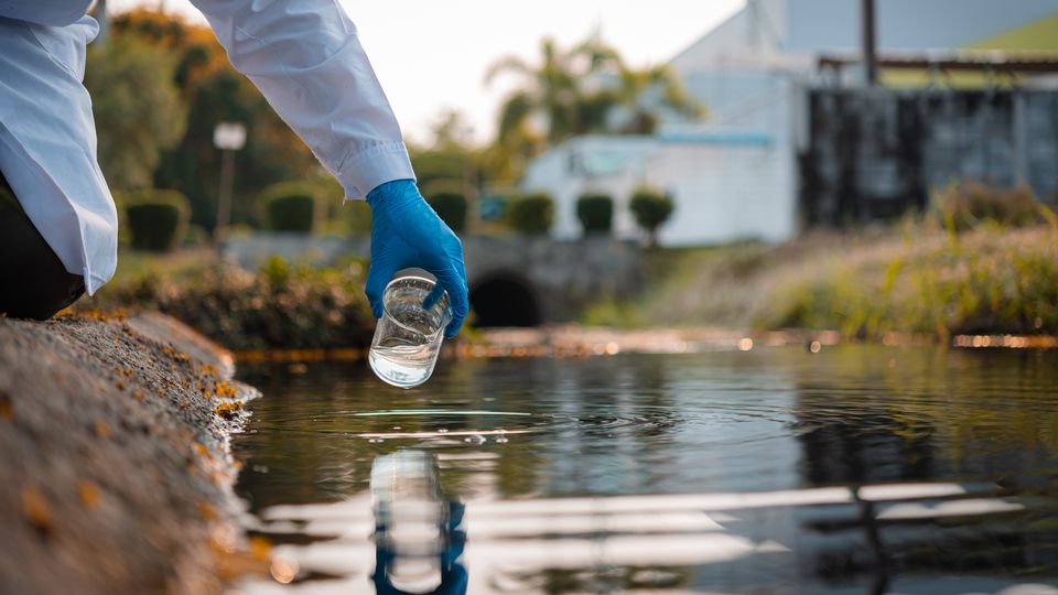 Water Quality